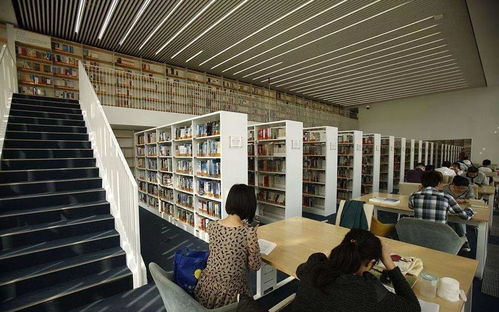 看完這些天津人的好消息，長(zhǎng)假回來(lái)也開(kāi)心了——聚焦信息技術(shù)咨詢服務(wù)新機(jī)遇